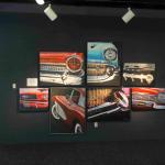 DSC03949_01 (June 18, 2020)